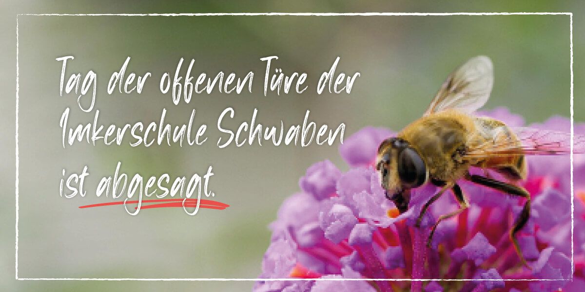 Tag der offenen Türe der Imkerschule Schwaben ist abgesagt