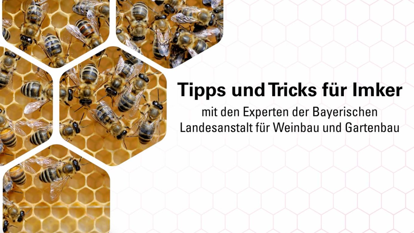 Tipps und Tricks für Imker